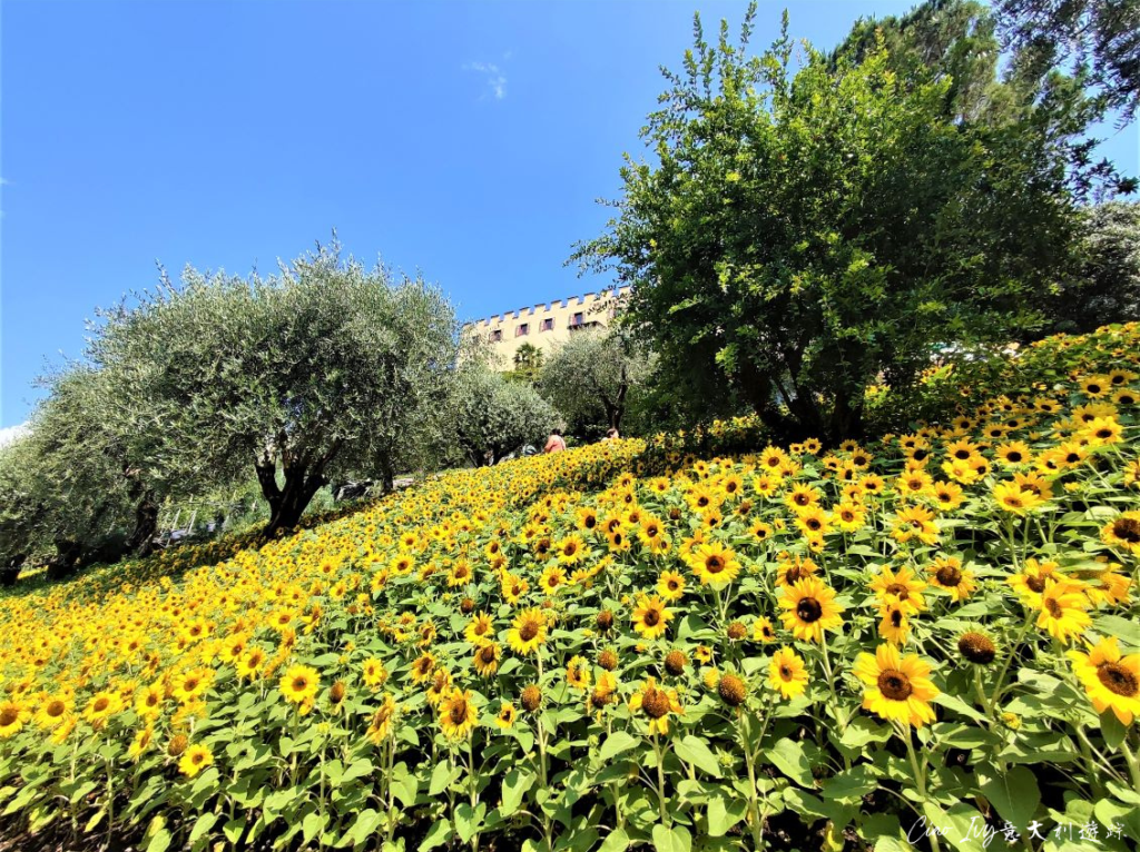 Giardini del Sole